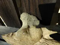 Cburg6.webp