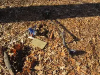 IMG_0750.webp