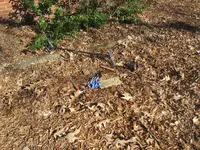 IMG_0753.webp