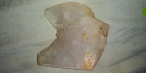 20200129_101701.webp