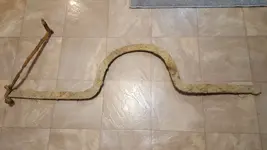 20200120_171651.webp