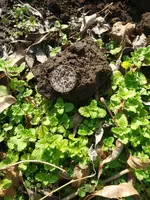 20191206_140551.webp