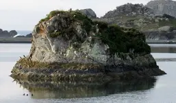 12- 5 heron 002.webp