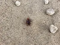 20191219_120627.webp
