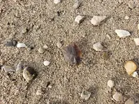 20191219_121930.webp