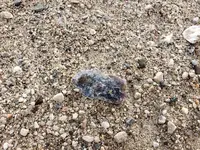 20191219_122655.webp