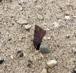 20191219_140028.webp
