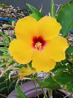 20191201_202615.webp