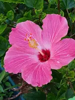 20191201_202624.webp
