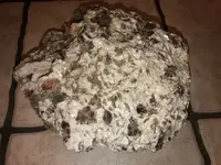 ImageUploadedByTreasureNet.com1575682212.558059.webp