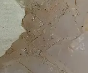 Calcite or Quartz.webp