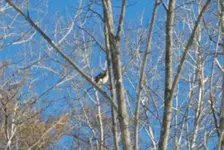 20191227_193235.webp