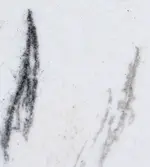 streak on nickle.webp