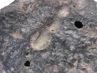 nickle iron ore2a.webp