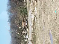20191219_120245.webp