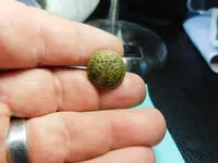 DSCN0625.webp