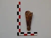 DSCN8445.webp