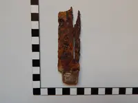 DSCN8457.webp
