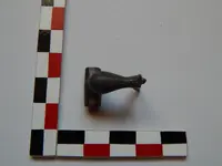 DSCN8248.webp