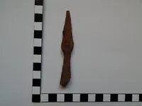 DSCN8230.webp