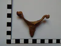 DSCN8233.webp