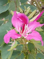 20191228_083251.webp