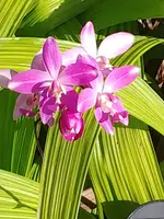 20191225_094159.webp