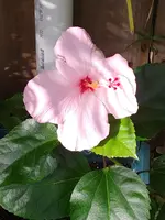 20191225_094216.webp