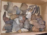 20191208_040204.webp