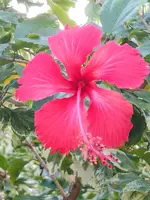 20191201_202648.webp