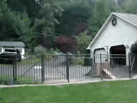 RR.gif RR.gif