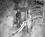 2m_Unor 1946 - American1.webp