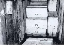 32 boxes of treasure.webp