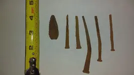 nails and point.webp