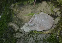 DSC_0280.webp
