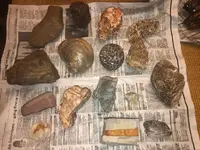 ImageUploadedByTreasureNet.com1575777060.257217.webp