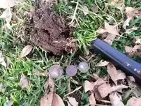 20191230_151413.webp