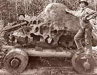 meteorite-cart-800.webp