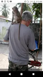 Screenshot_20191222-031349.webp