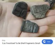 ImageUploadedByTreasureNet.com1578328476.784815.webp