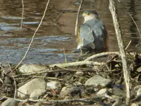 IMG_20191221_154108.webp