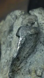 HardwickHallVicinityLeadArtifactCirca1557_ExposedMetal4.webp