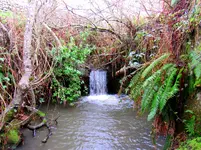 new waterfall 002.webp