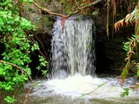 new waterfall 005.webp