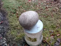 rock.webp