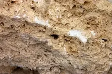 Tufa.webp