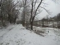 IMG_1836 (1).webp IMG_1836 (1).webp
