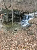 ImageUploadedByTreasureNet.com1578348256.922950.webp