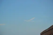 561.webp