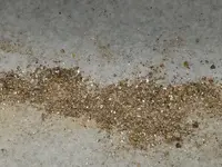 20191229_225852.webp